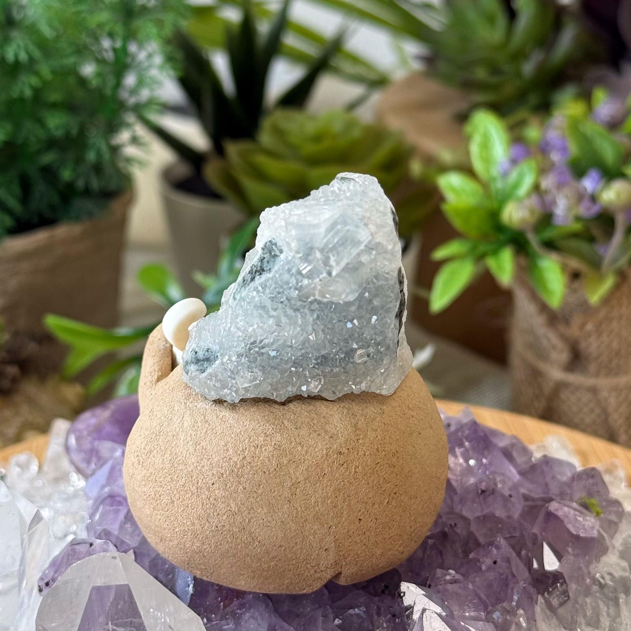 UniTama｜ゼオライト まめちゃん