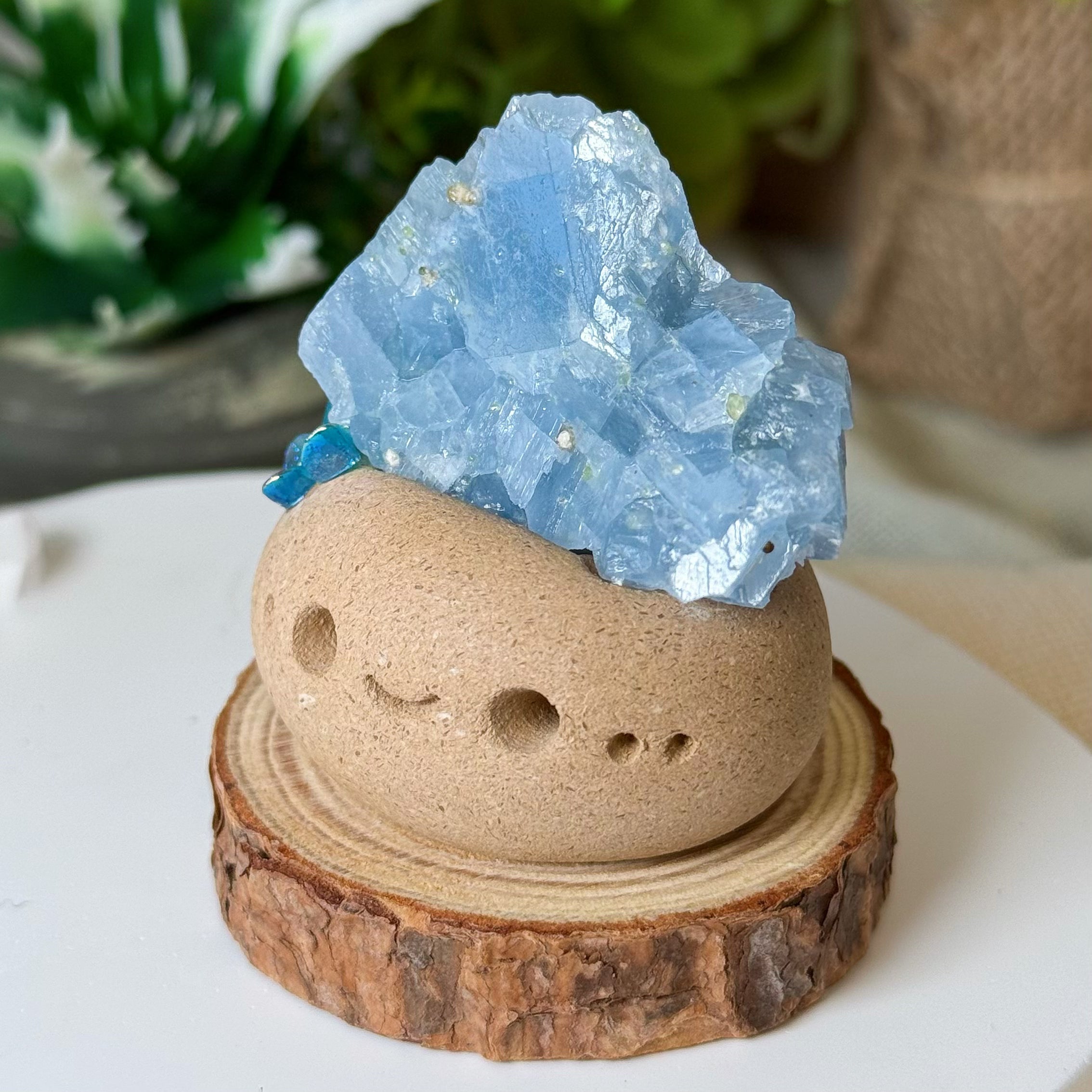 UniTama｜ブルーカイヤナイト まめちゃん